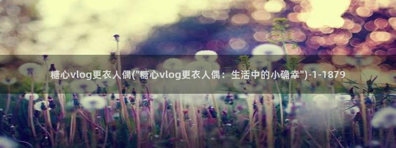 糖心vlog小浣熊:糖心vlog更衣人偶