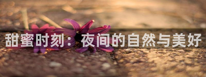 糖心vlog下载app:甜蜜时刻:夜间的