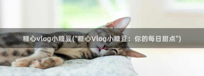 糖心vlog旅行:糖心vlog小糖豆(\