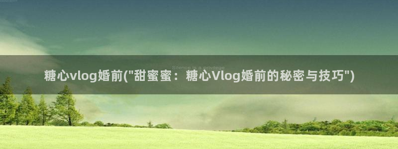 糖心vlog飞机号:糖心vlog婚前(\